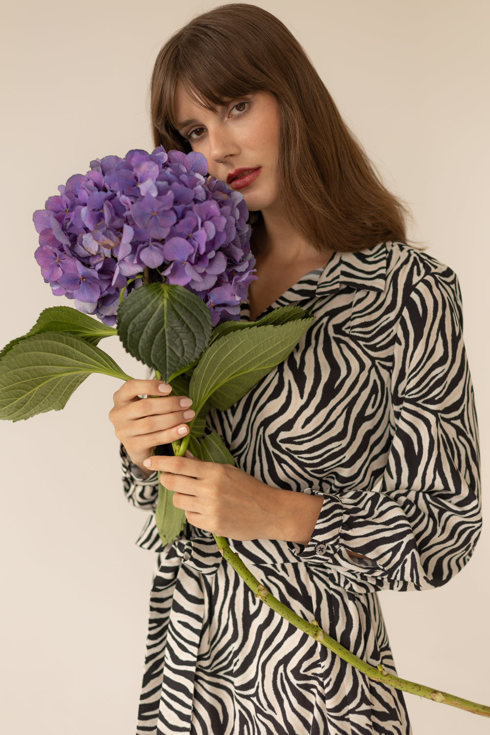 Zebra Geometric Long Dress - Print