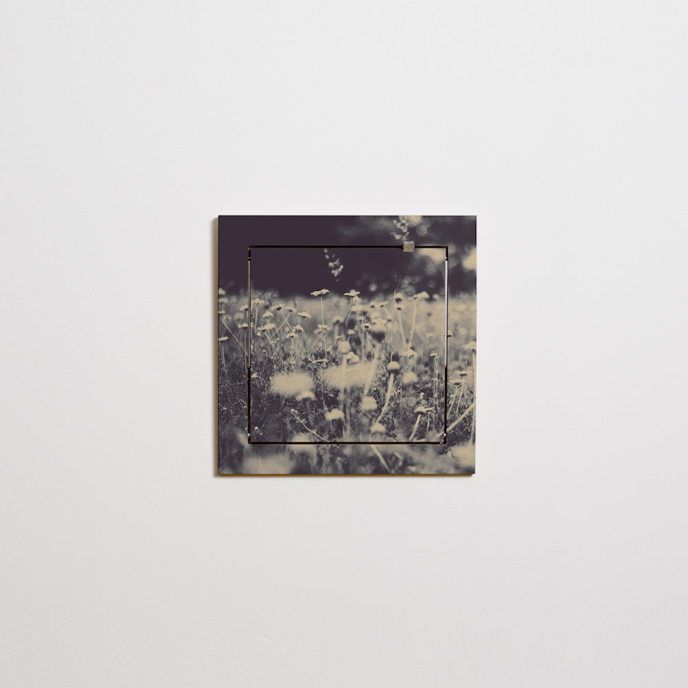 Fläpps Shelf 40×40 – Wild and Free – Ingrid Beddoes