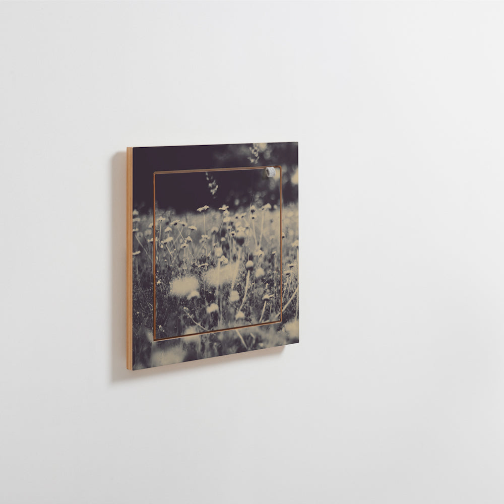 Fläpps Shelf 40×40 – Wild and Free – Ingrid Beddoes