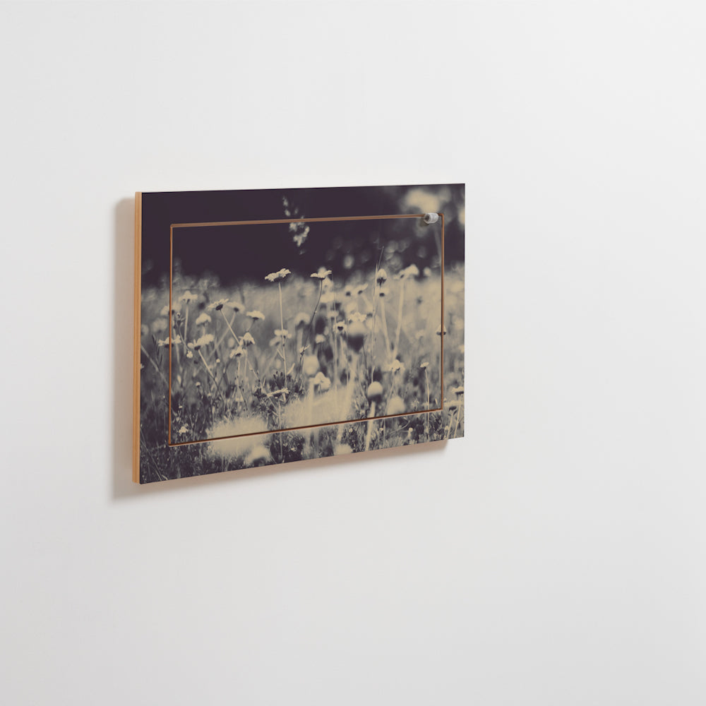 Fläpps Shelf 60×40 – Wild and Free – Ingrid Beddoes