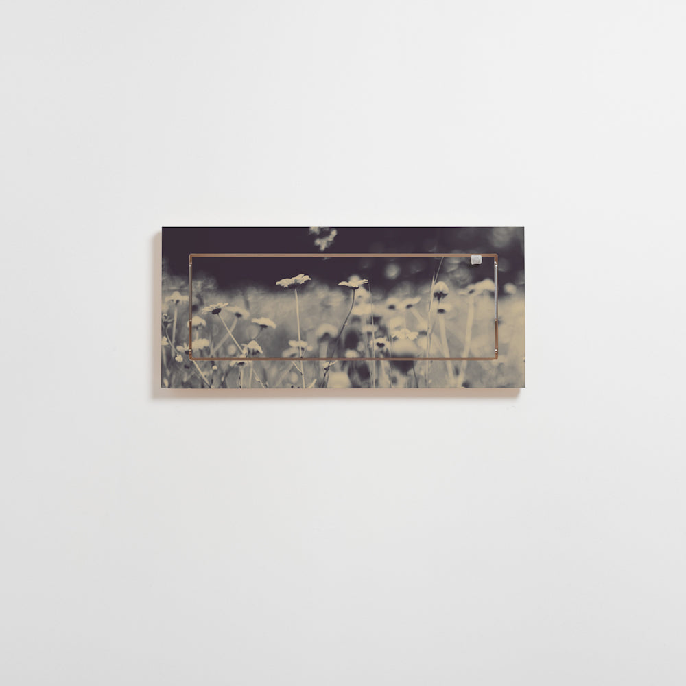 Fläpps Shelf 60×27 – Wild and Free – Ingrid Beddoes