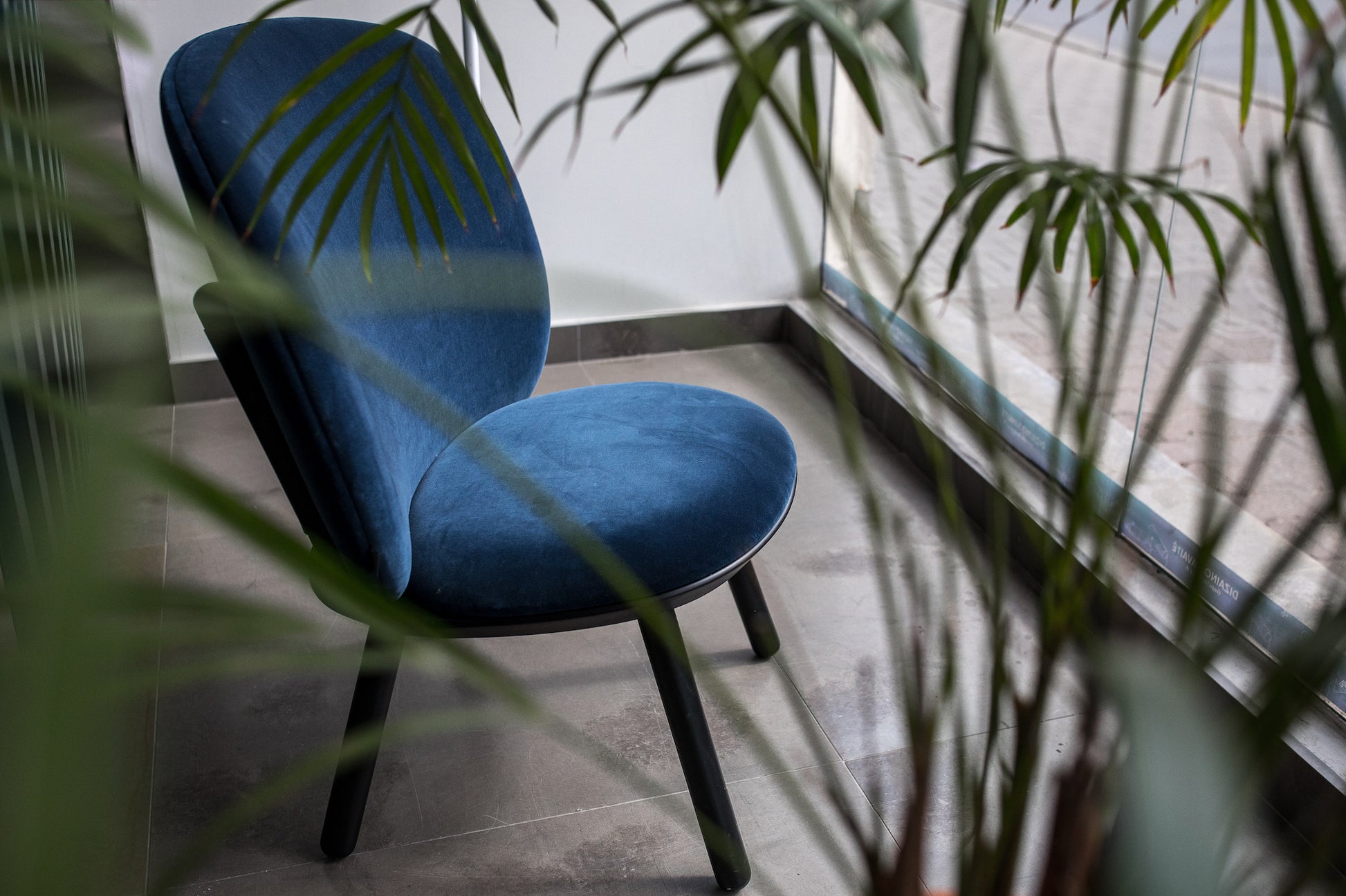 Blue Naïve Low Velour Accent Chair