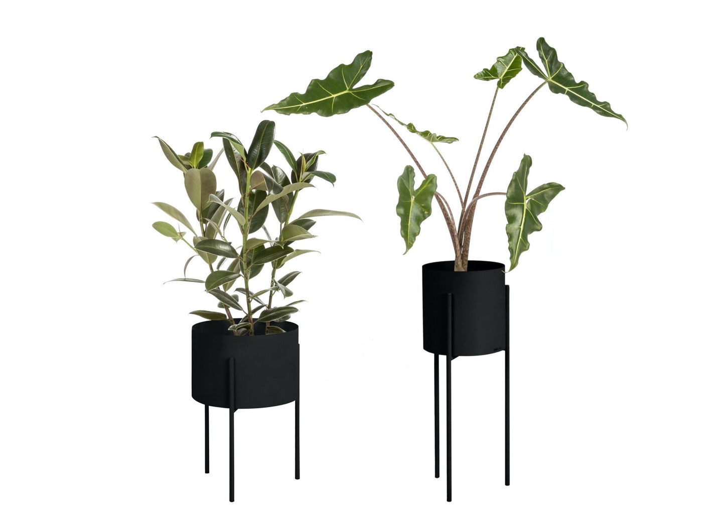 Maki Plant Pot Wide & Tall Bundle