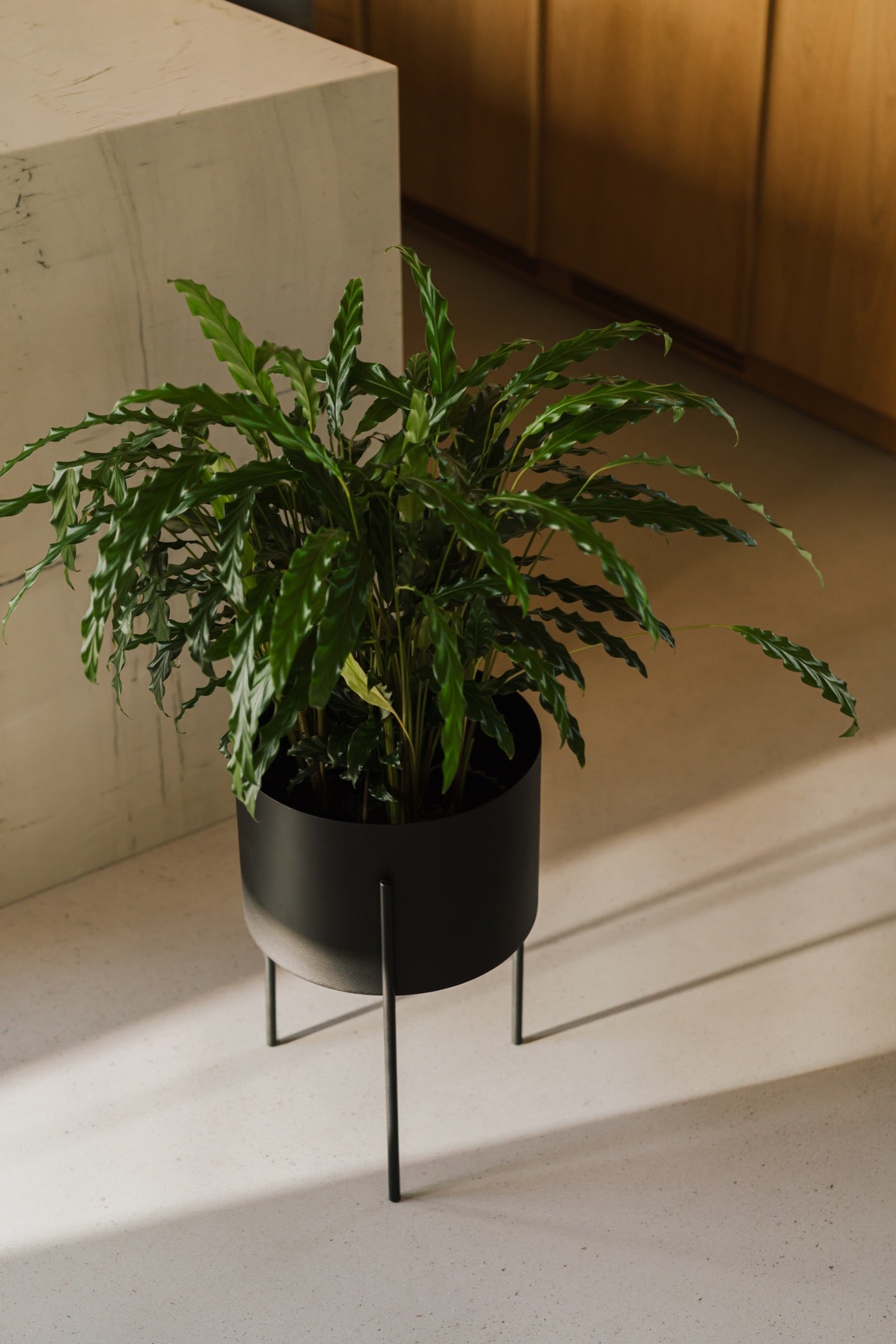 Maki Plant Pot - Wide