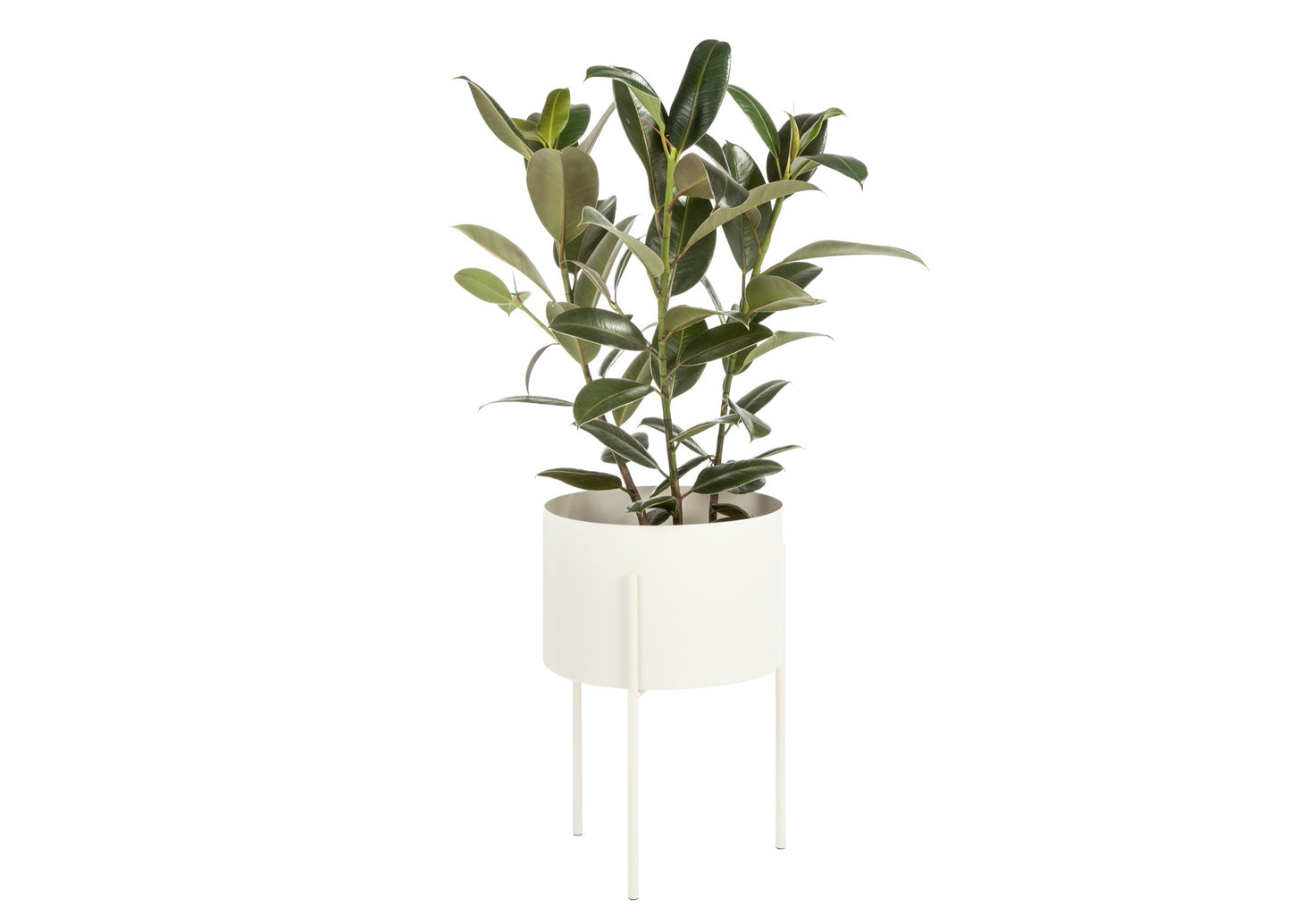 Maki Plant Pot - Wide
