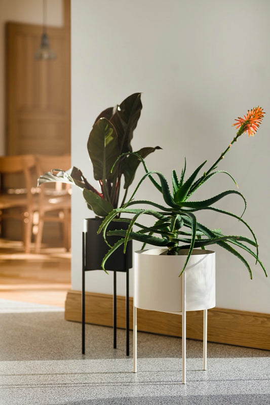 Maki Plant Pot Wide & Tall Bundle