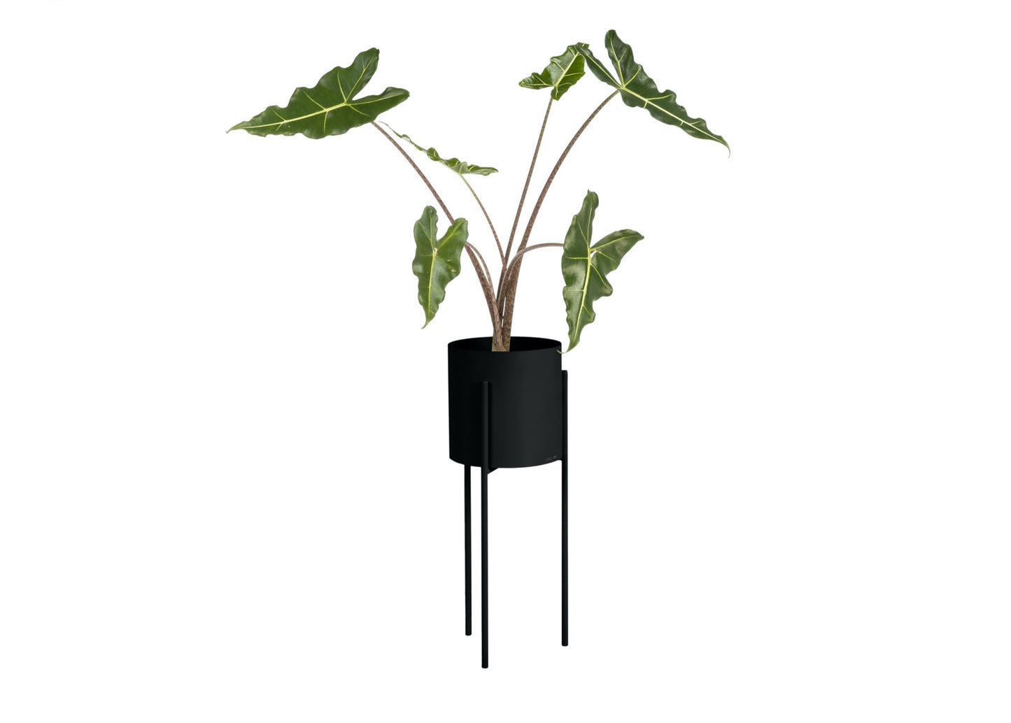 Maki Plant Pot - Tall