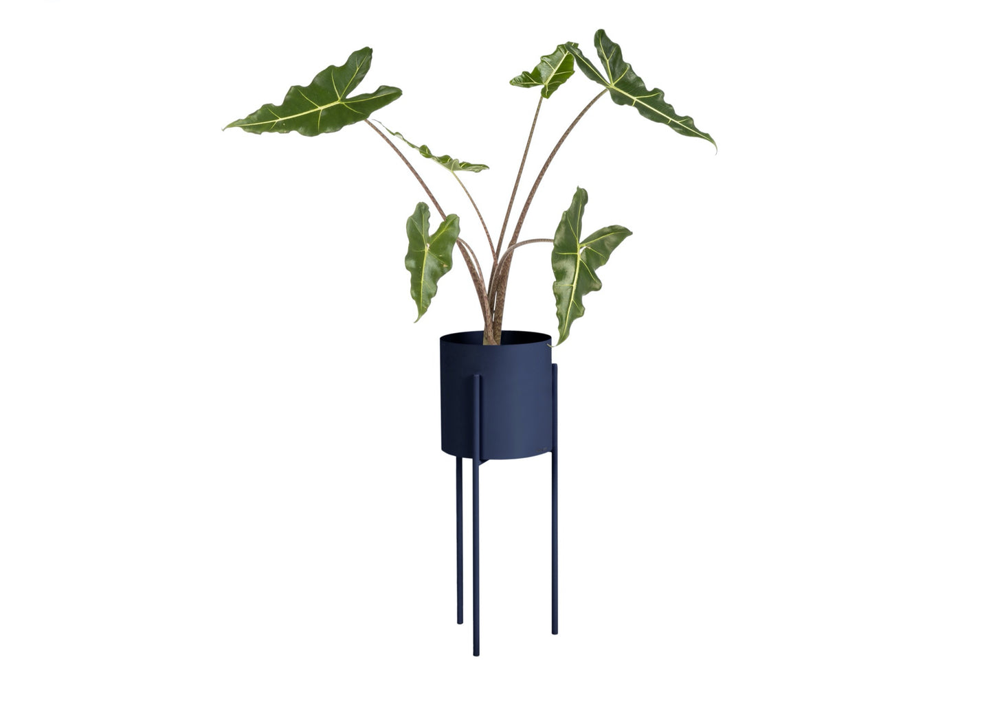 Maki Plant Pot - Tall