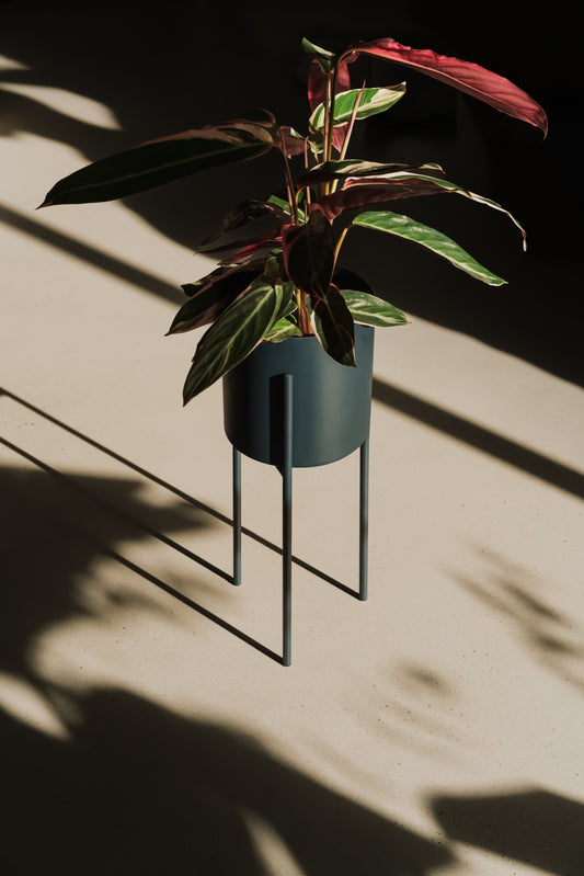 Maki Plant Pot - Tall