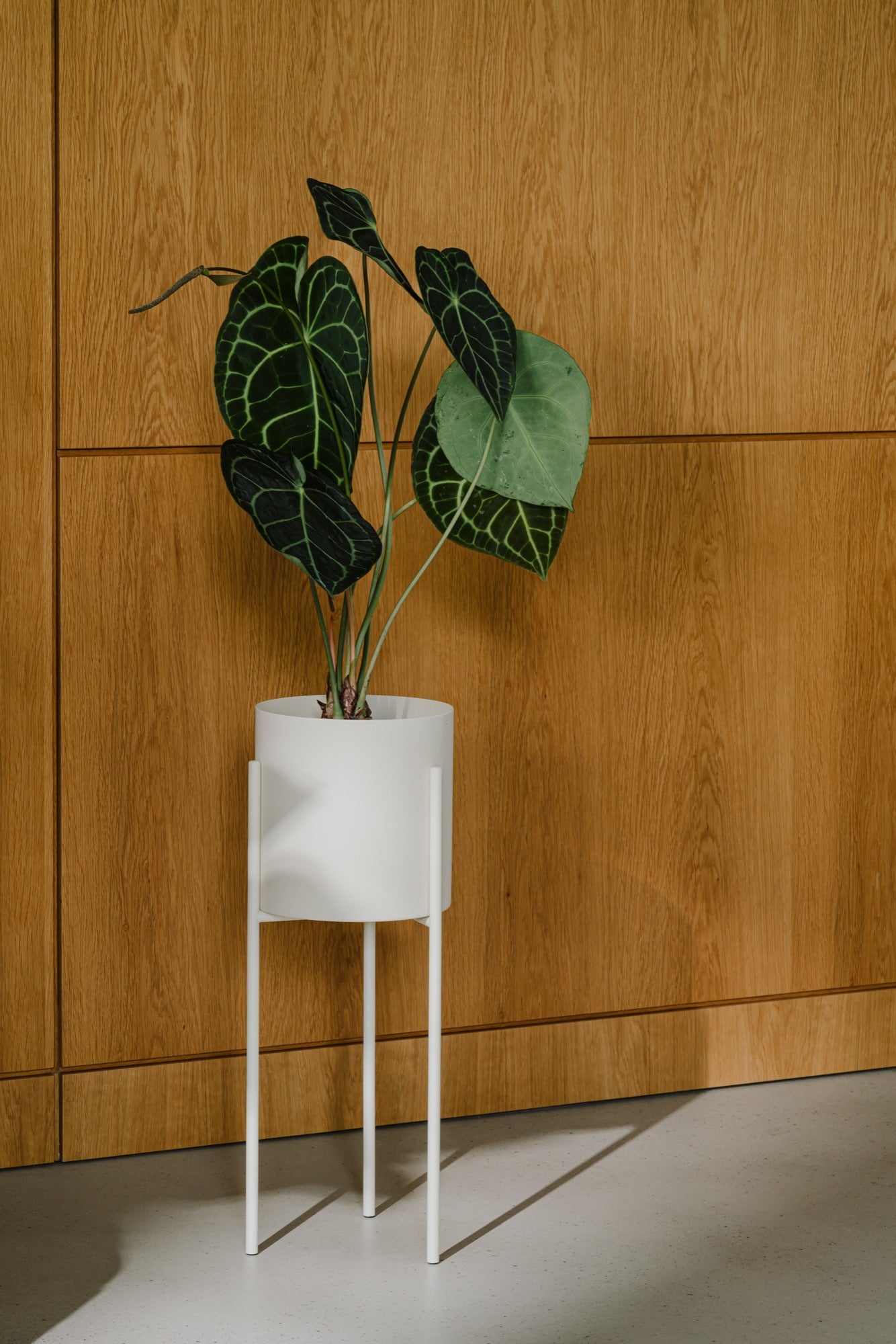 Maki Plant Pot - Tall