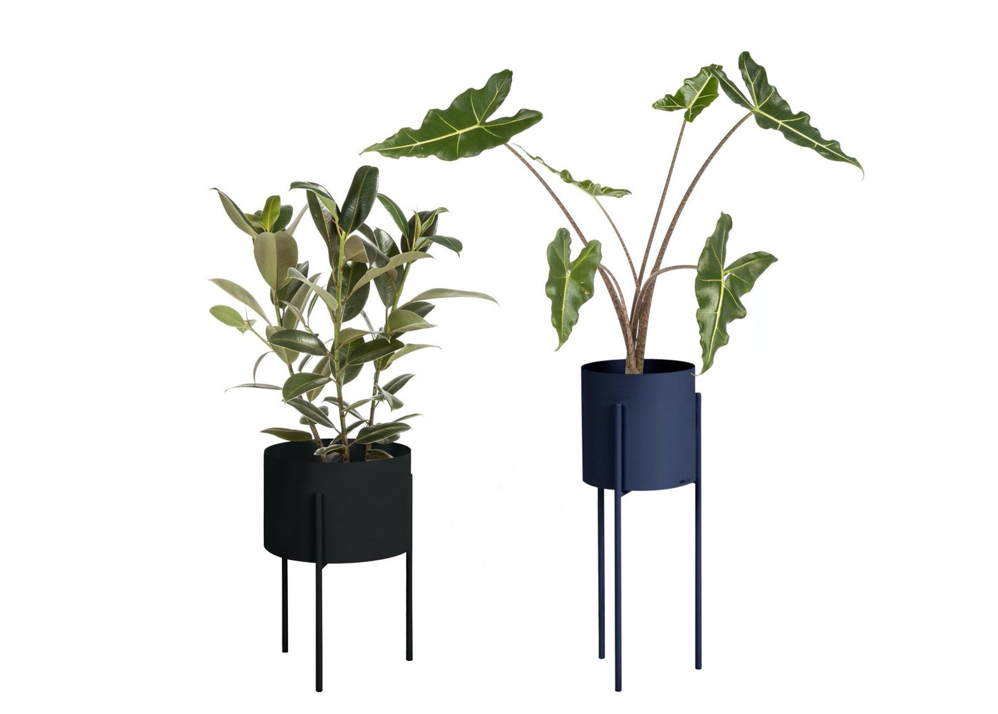 Maki Plant Pot Wide & Tall Bundle