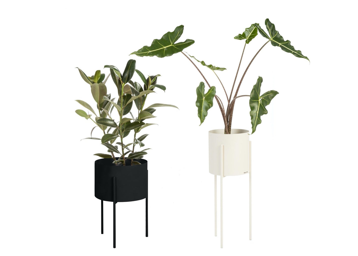 Maki Plant Pot Wide & Tall Bundle