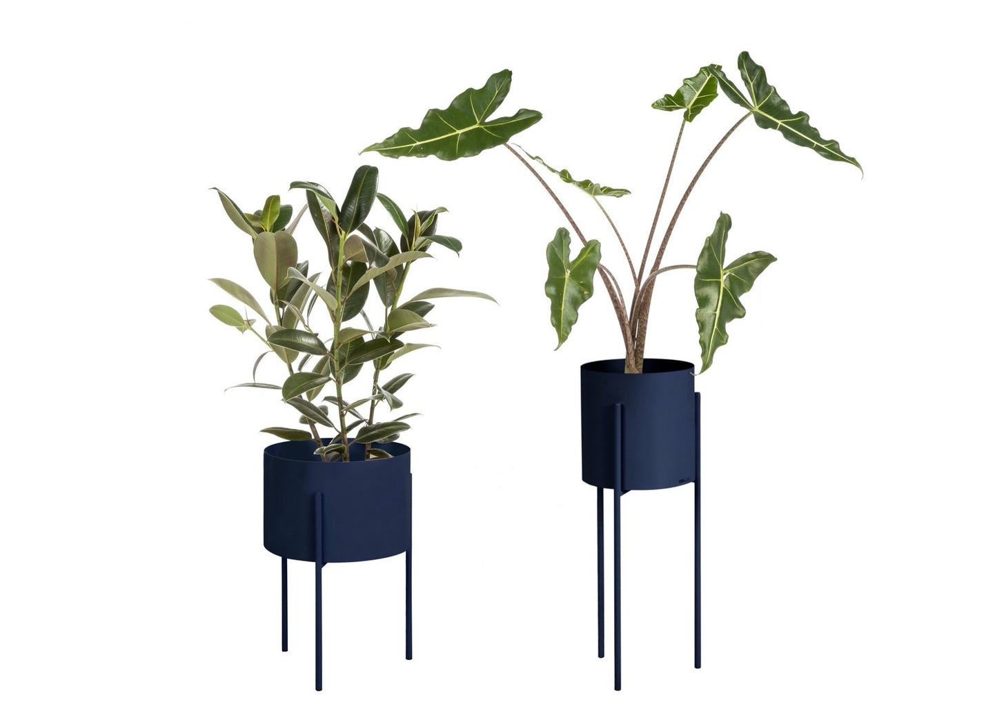 Maki Plant Pot Wide & Tall Bundle