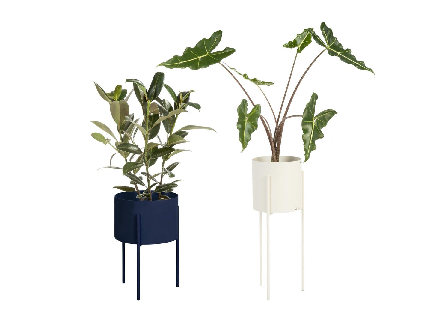 Maki Plant Pot Wide & Tall Bundle