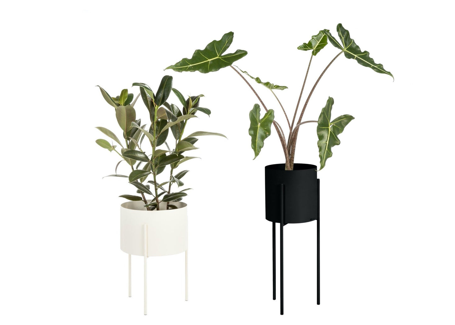 Maki Plant Pot Wide & Tall Bundle