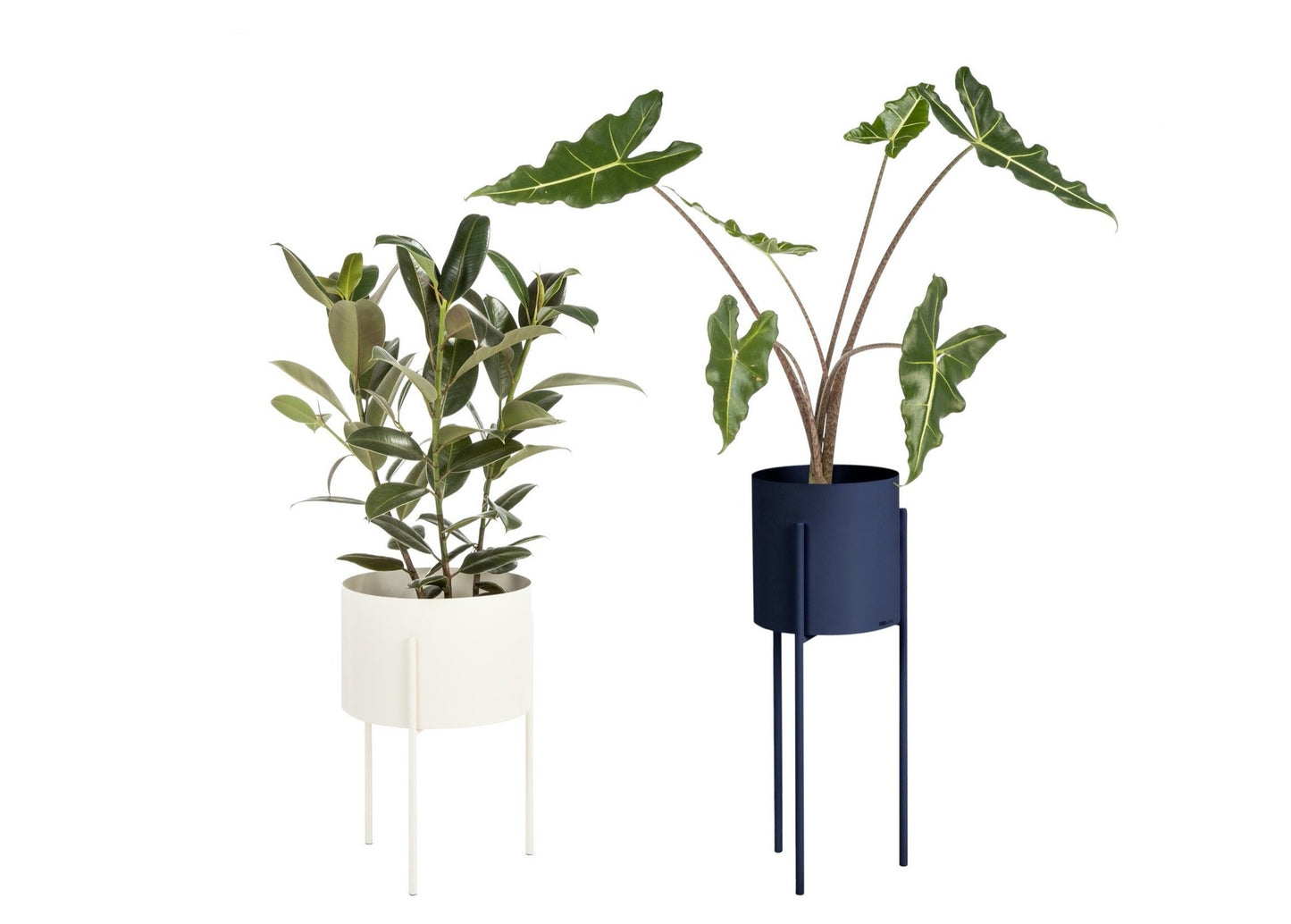 Maki Plant Pot Wide & Tall Bundle