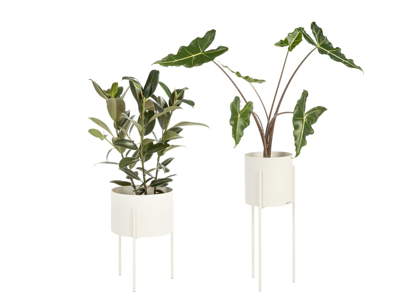 Maki Plant Pot Wide & Tall Bundle