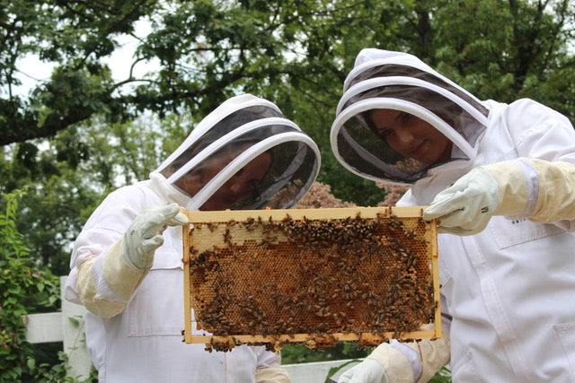 THE ART OF BEEKEEPING