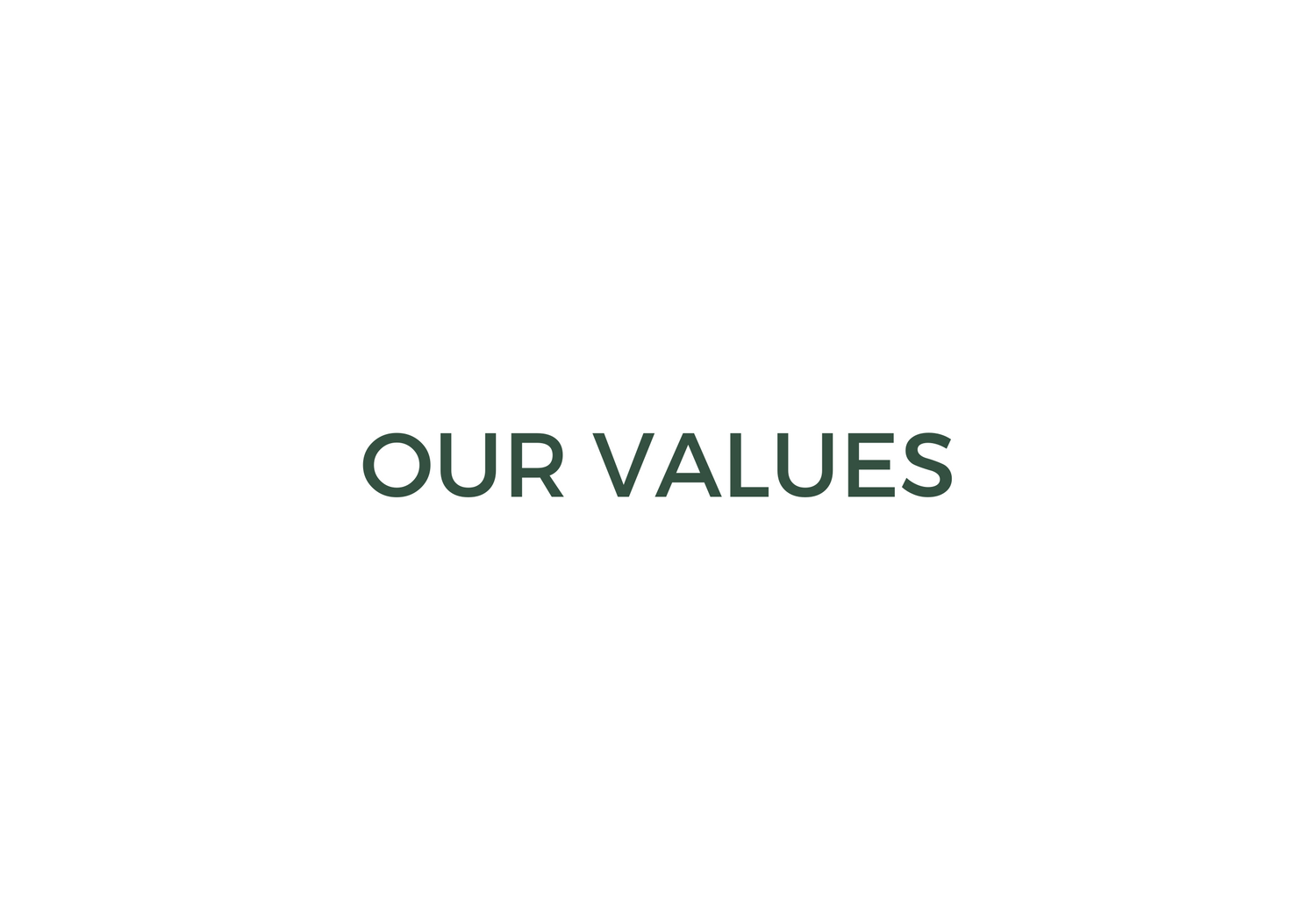 our values