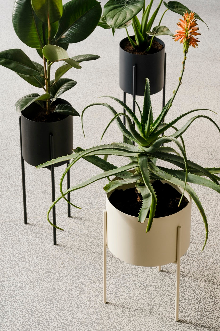 Maki Plant Pot - Wide
