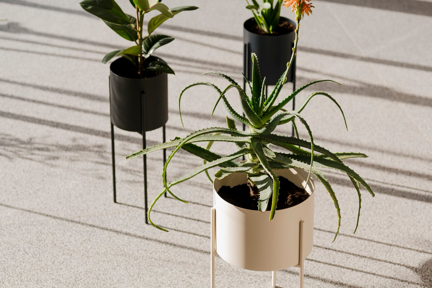 Maki Plant Pot Wide & Tall Bundle