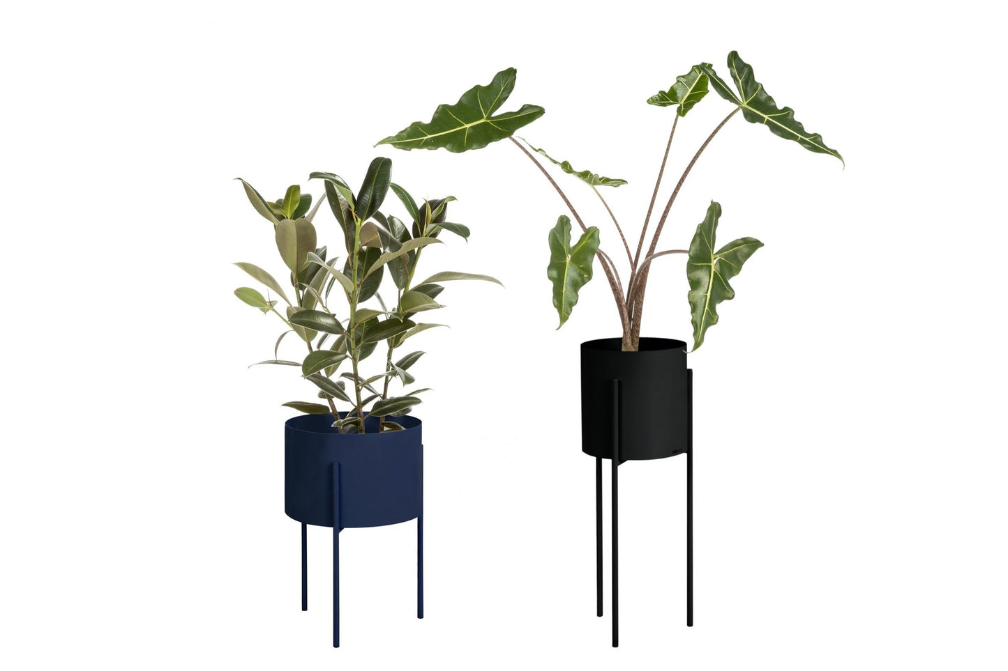 Maki Plant Pot Wide & Tall Bundle